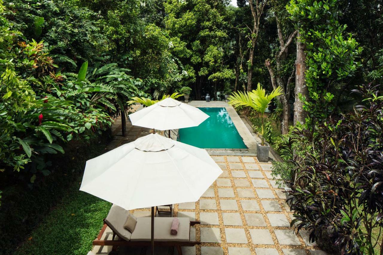 Rosyth Estate House Hotel Kegalle Kültér fotó